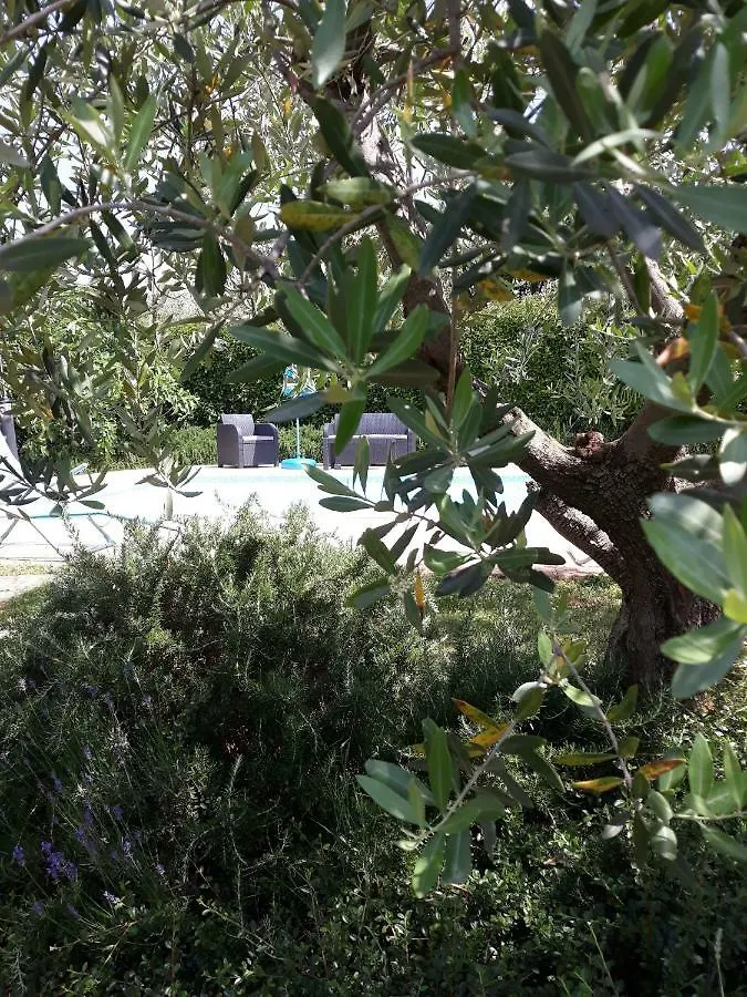 Ana Marija Apartments Porec 0*,